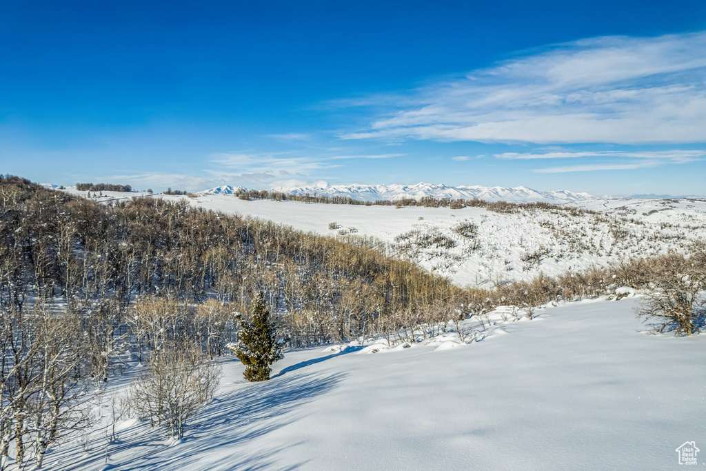 8427 E ASPEN RD Heber City, UT 84032