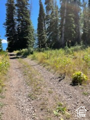 View of dirt / gravel road
