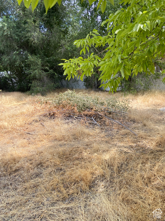 482 W 200 S Provo, UT 84601