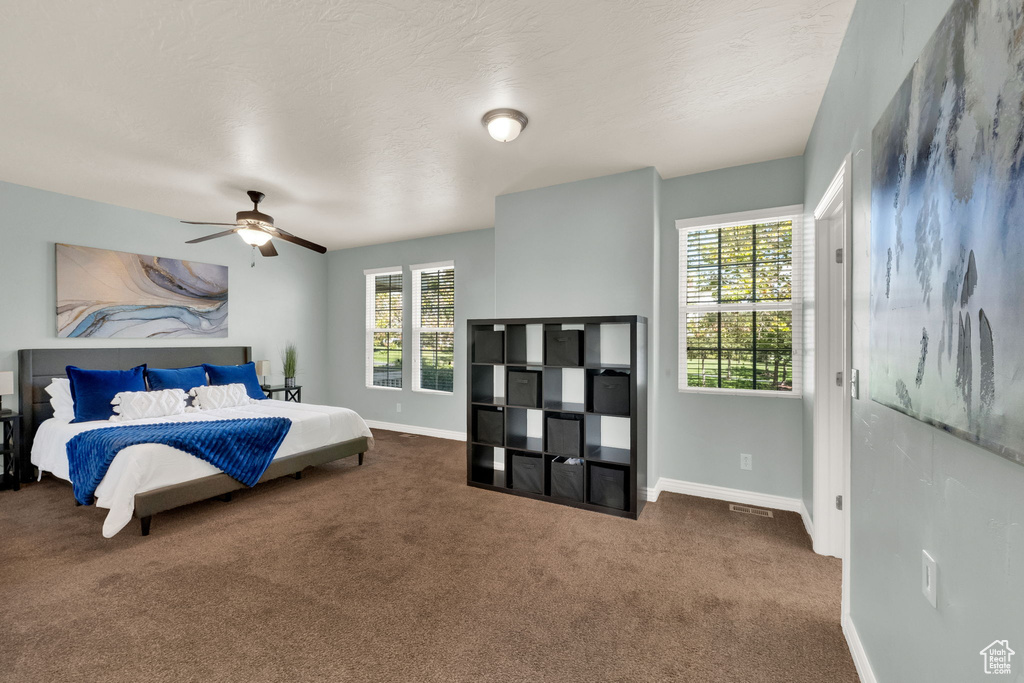 4251 W LAKE BRIDGE DR South Jordan, UT 84009