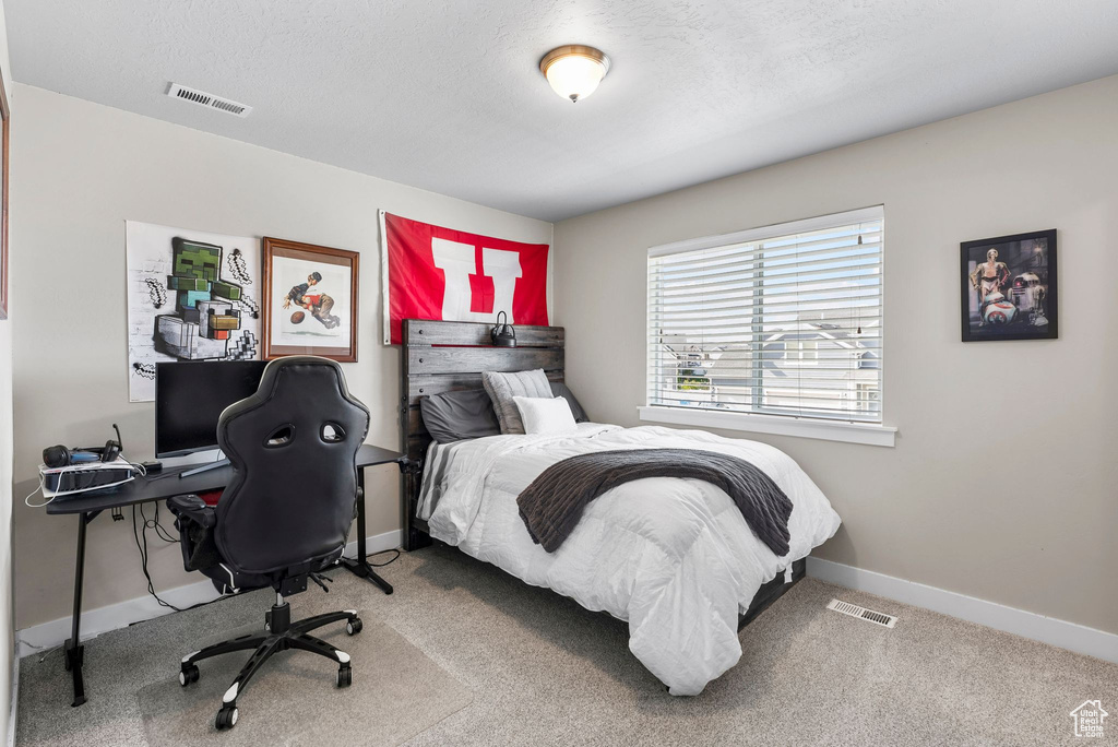 13878 S BIRCH LEAF DR Herriman, UT 84096