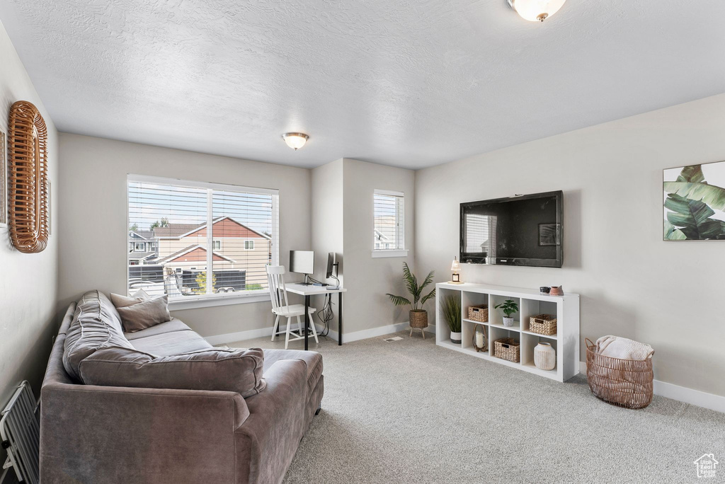 13878 S BIRCH LEAF DR Herriman, UT 84096