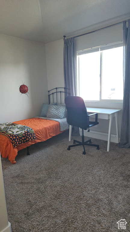 Photo 15 for MLS #2105281 at 828 Valley View Way