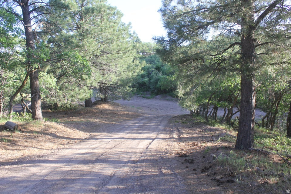 2498 W SILVERADO RDG Duck Creek Village, UT 84762