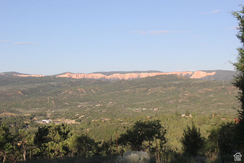 Photo 8 for MLS #2105288 at 2498 W Silverado Rdg