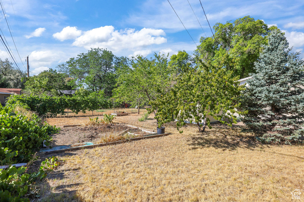 523 W LOYAL DR Murray, UT 84123