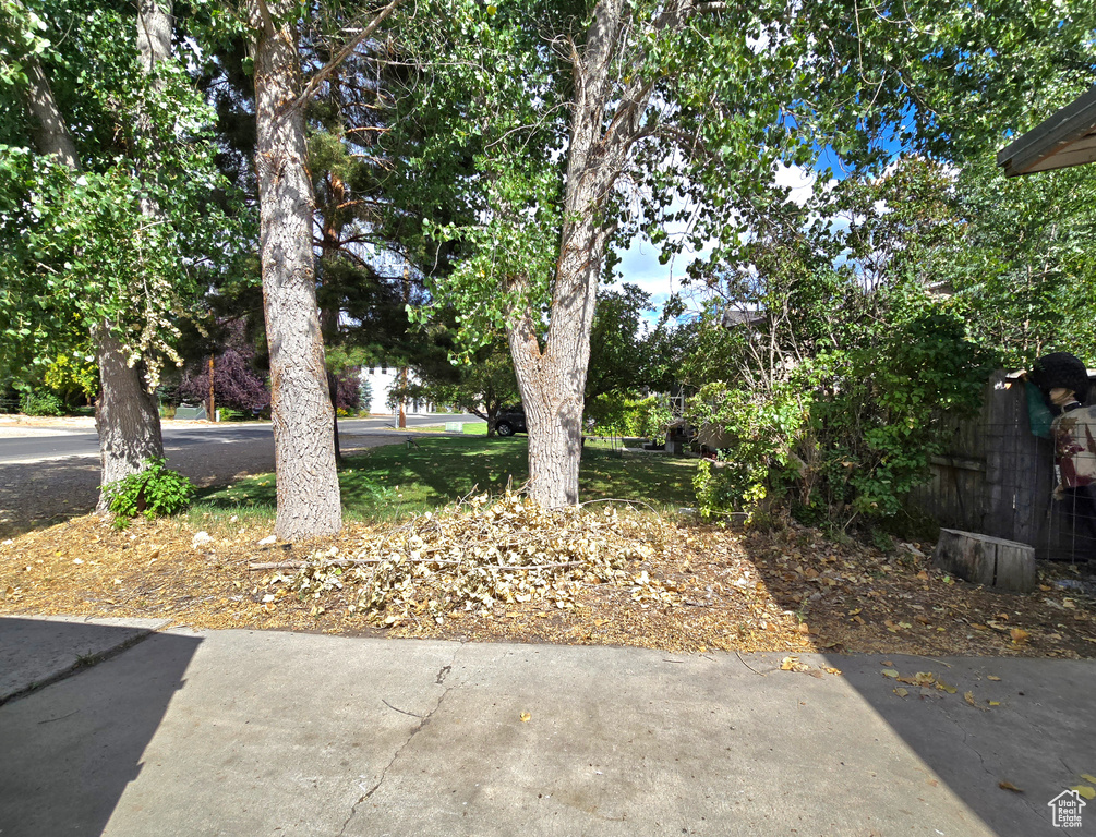 Photo 33 for MLS #2105314 at 271 W Main St