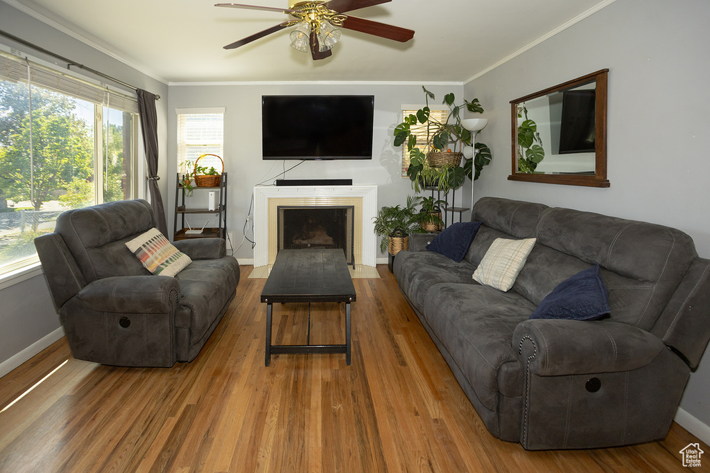 Photo 5 for MLS #2105315 at 829 E Zenith Ave