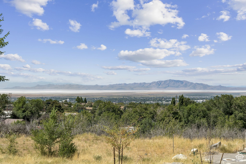 Photo 56 for MLS #2105340 at 1390 E Orchard Ridge Ln