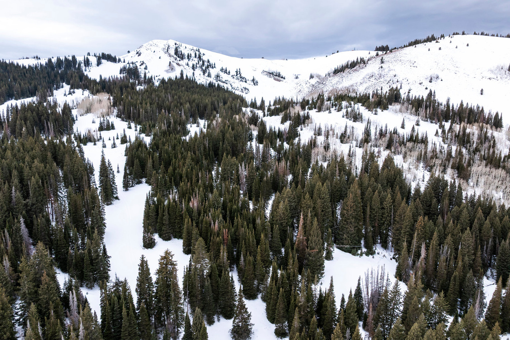 329 WHITE PINE CANYON RD Park City, UT 84060