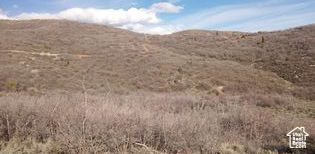 54 N MOUNT BALDY LOOP Indianola, UT 84629