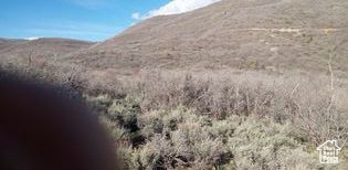 54 N MOUNT BALDY LOOP Indianola, UT 84629