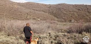 54 N MOUNT BALDY LOOP Indianola, UT 84629