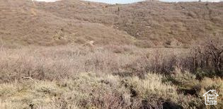54 N MOUNT BALDY LOOP Indianola, UT 84629