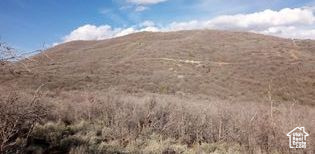 54 N MOUNT BALDY LOOP Indianola, UT 84629