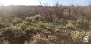 54 N MOUNT BALDY LOOP Indianola, UT 84629