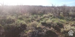 54 N MOUNT BALDY LOOP Indianola, UT 84629