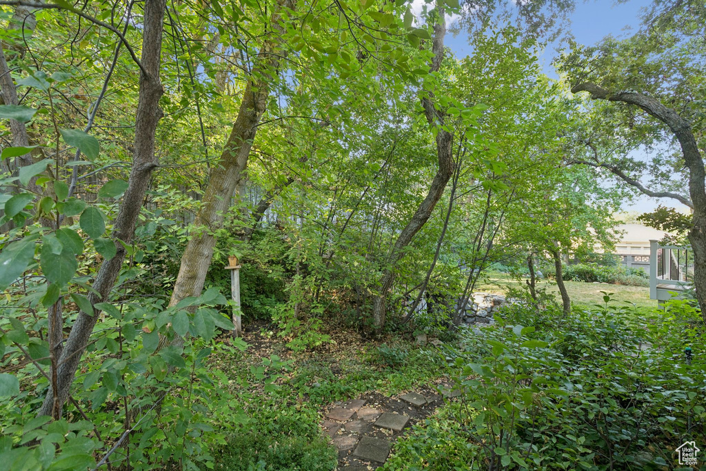 3132 E CREEK RD Cottonwood Heights, UT 84121