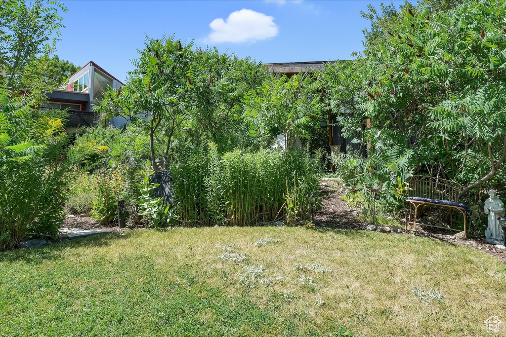 Photo 77 for MLS #2105509 at 510 Spring Creek Rd