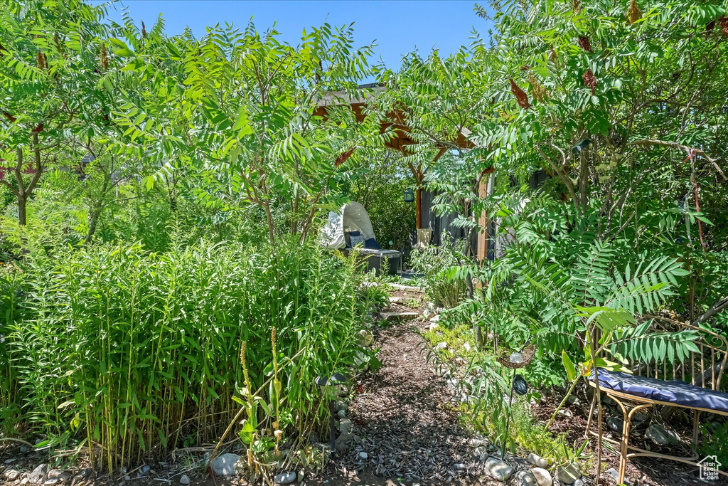 Photo 75 for MLS #2105509 at 510 Spring Creek Rd