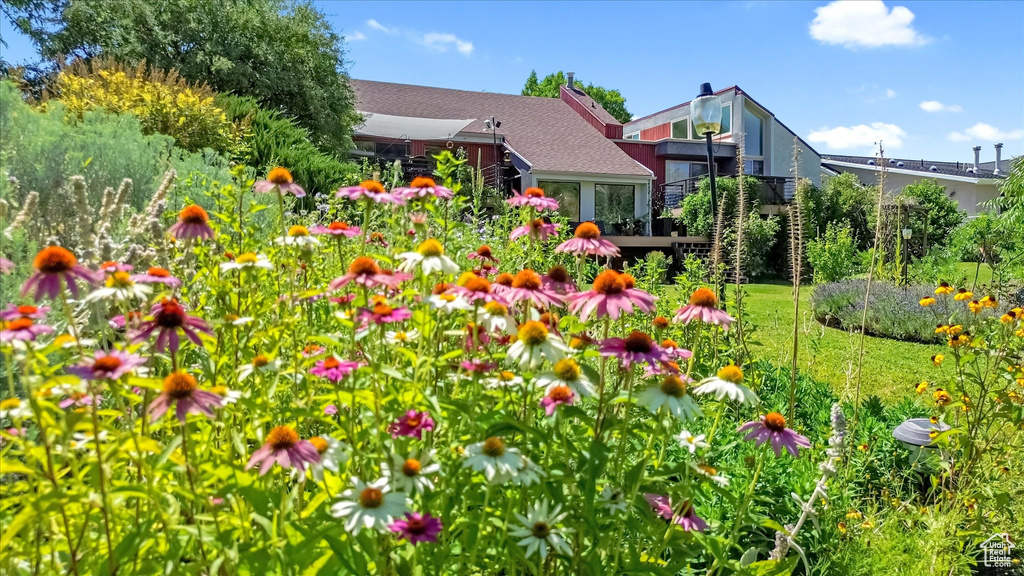 Photo 65 for MLS #2105509 at 510 Spring Creek Rd
