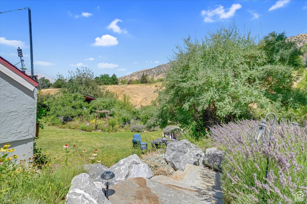 Photo 79 for MLS #2105509 at 510 Spring Creek Rd