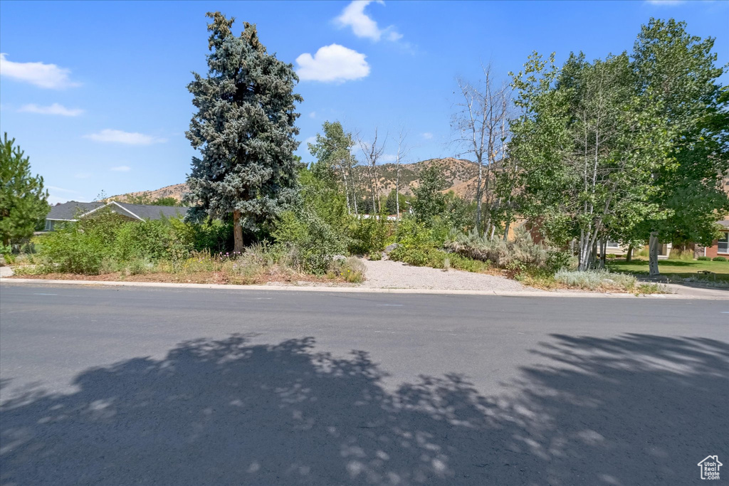 Photo 93 for MLS #2105509 at 510 Spring Creek Rd