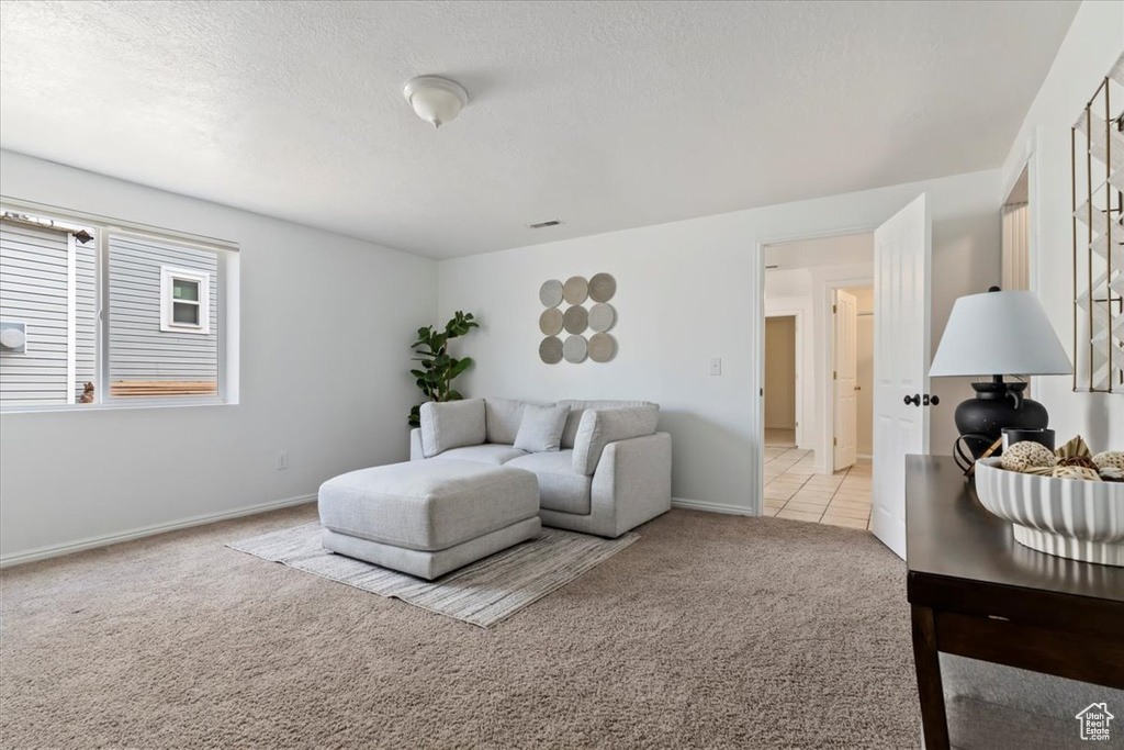 Photo 12 for MLS #2105517 at 14348 S Dreamfield Dr