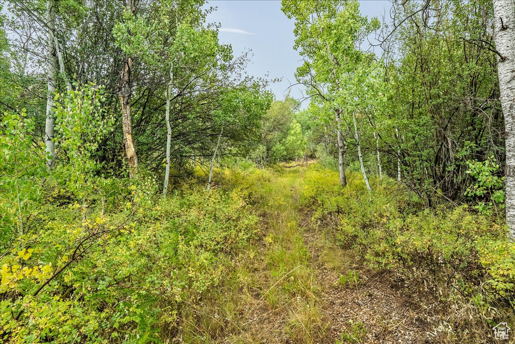 5397 E COLTER RD Oakley, UT 84055