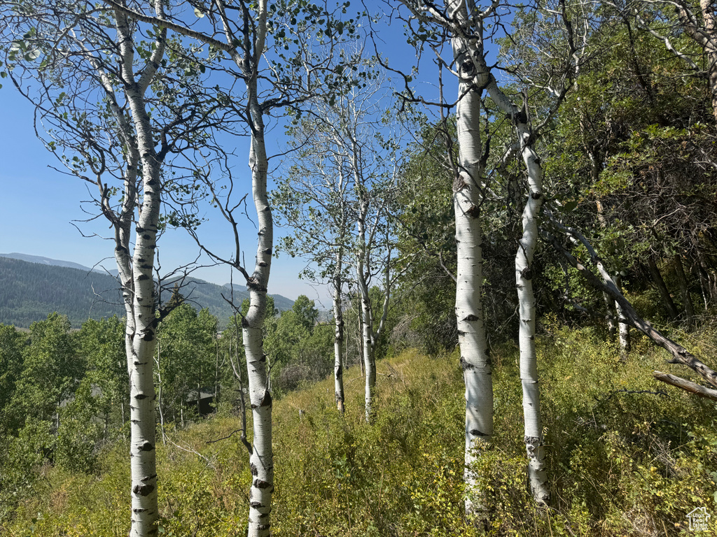 5397 E COLTER RD Oakley, UT 84055