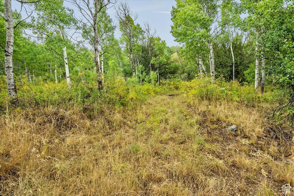 5397 E COLTER RD Oakley, UT 84055