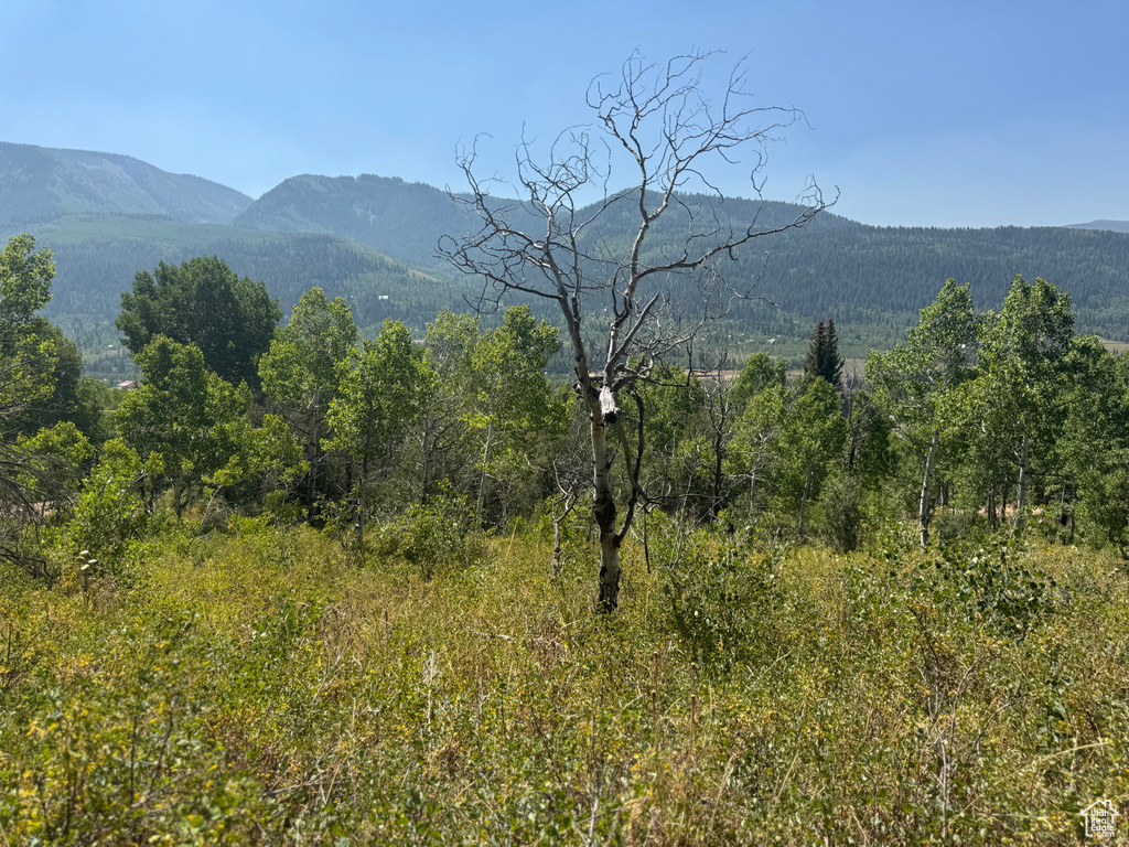 5397 E COLTER RD Oakley, UT 84055