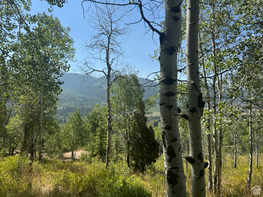 5397 E COLTER RD Oakley, UT 84055