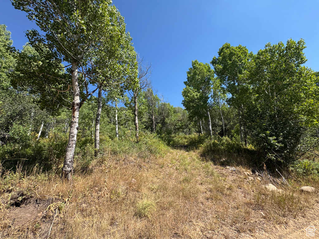 5397 E COLTER RD Oakley, UT 84055