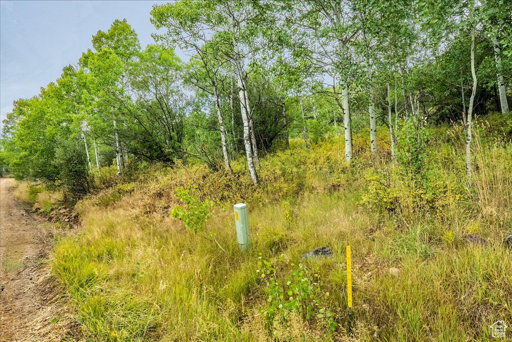 5397 E COLTER RD Oakley, UT 84055