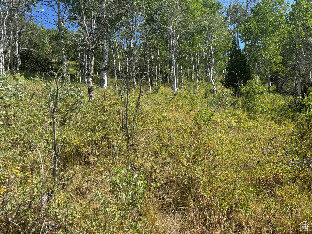 5397 E COLTER RD Oakley, UT 84055