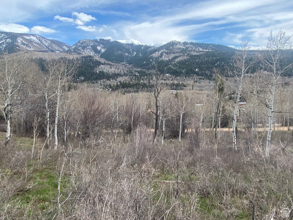 5397 E COLTER RD Oakley, UT 84055