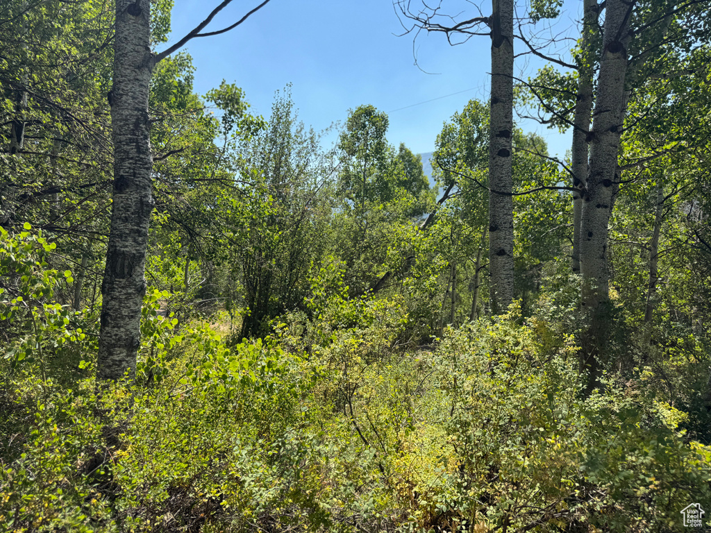 5397 E COLTER RD Oakley, UT 84055