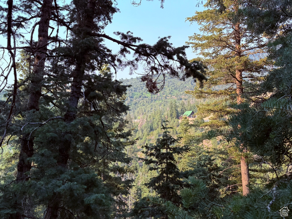 39  PINE CREEK RD Mt Pleasant, UT 84647