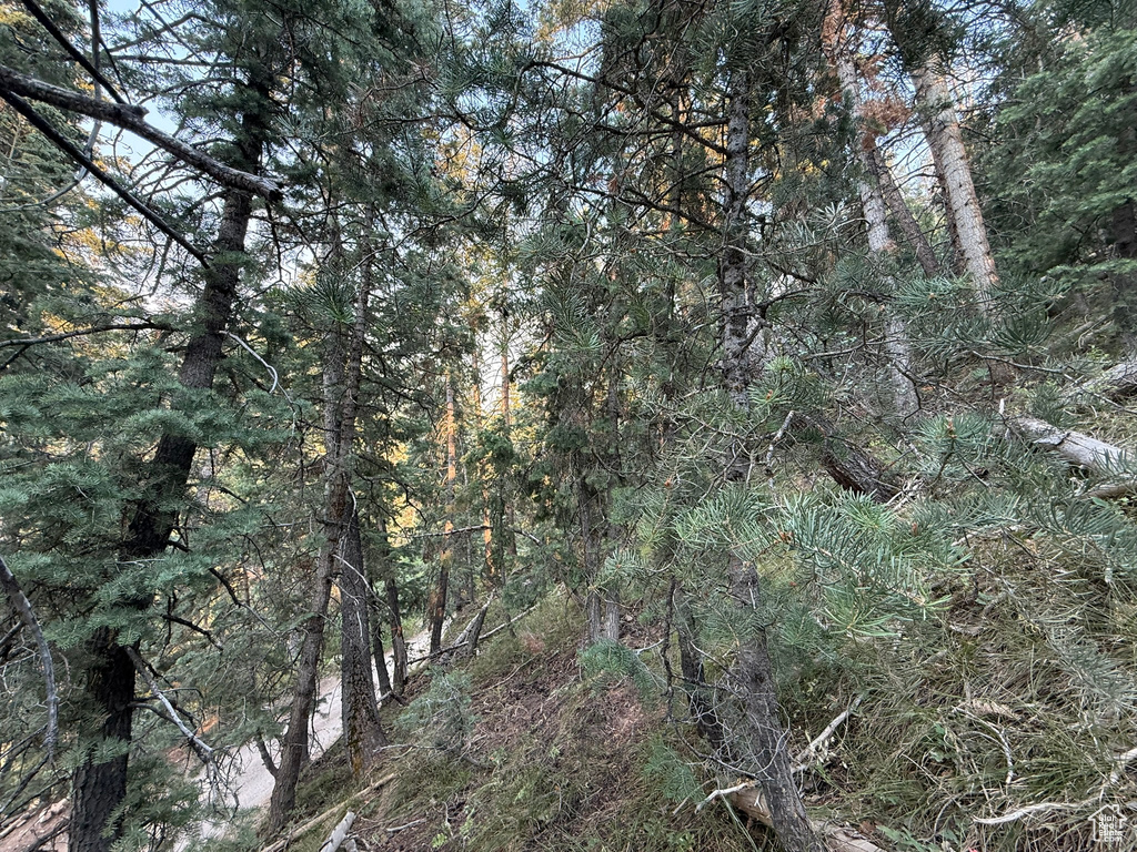 39  PINE CREEK RD Mt Pleasant, UT 84647