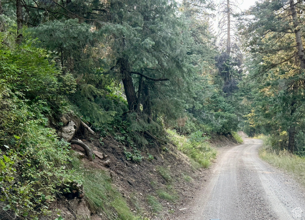 39  PINE CREEK RD Mt Pleasant, UT 84647