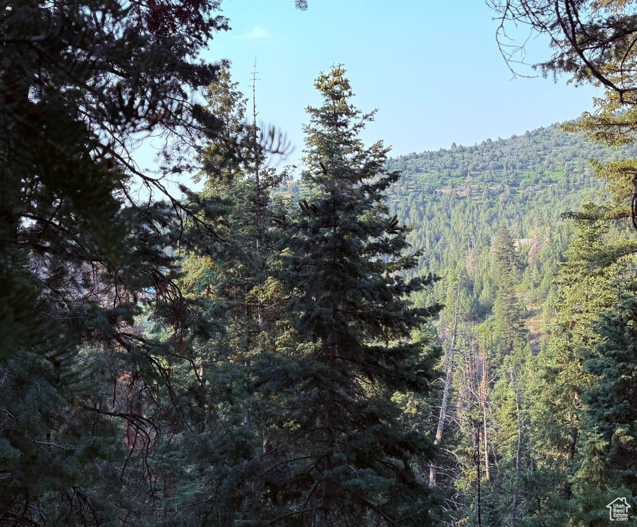 39  PINE CREEK RD Mt Pleasant, UT 84647