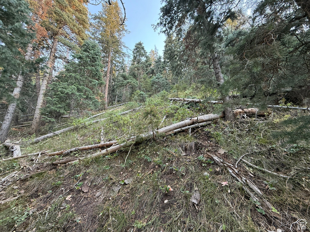 39  PINE CREEK RD Mt Pleasant, UT 84647