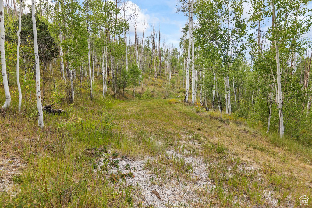 Photo 35 for MLS #2105627 at 959 Cove Rd