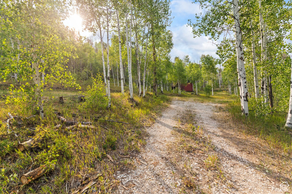 Photo 34 for MLS #2105627 at 959 Cove Rd