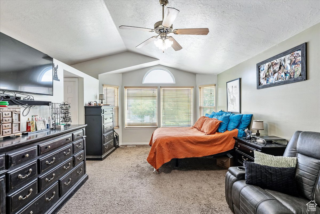 Photo 29 for MLS #2105629 at 4357 S 3700 West