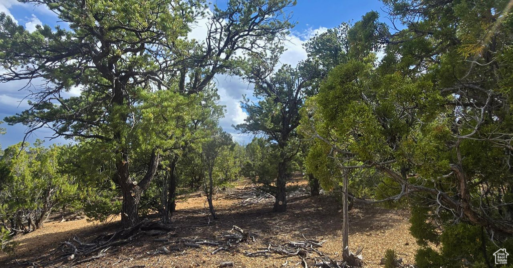  Duchesne, UT 84021