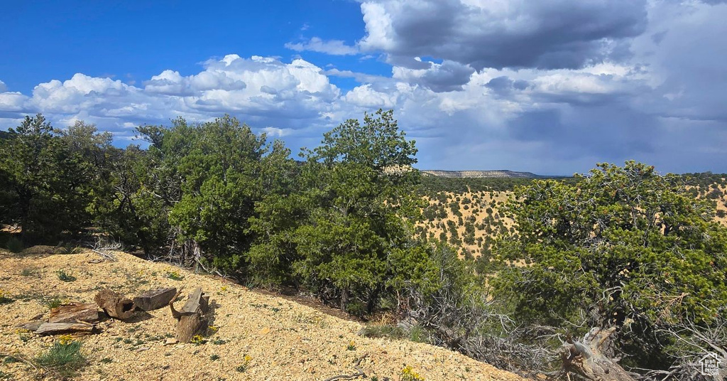  Duchesne, UT 84021