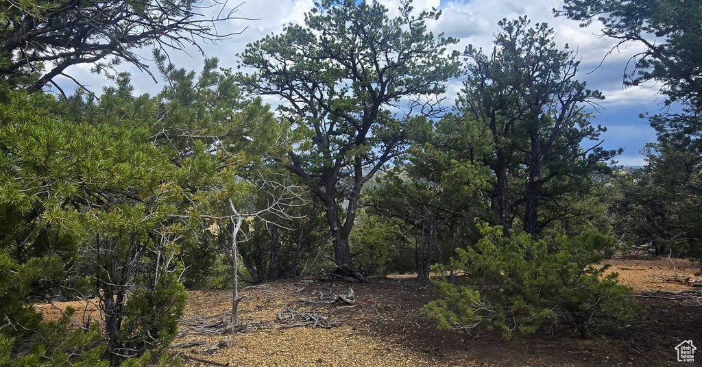 Duchesne, UT 84021