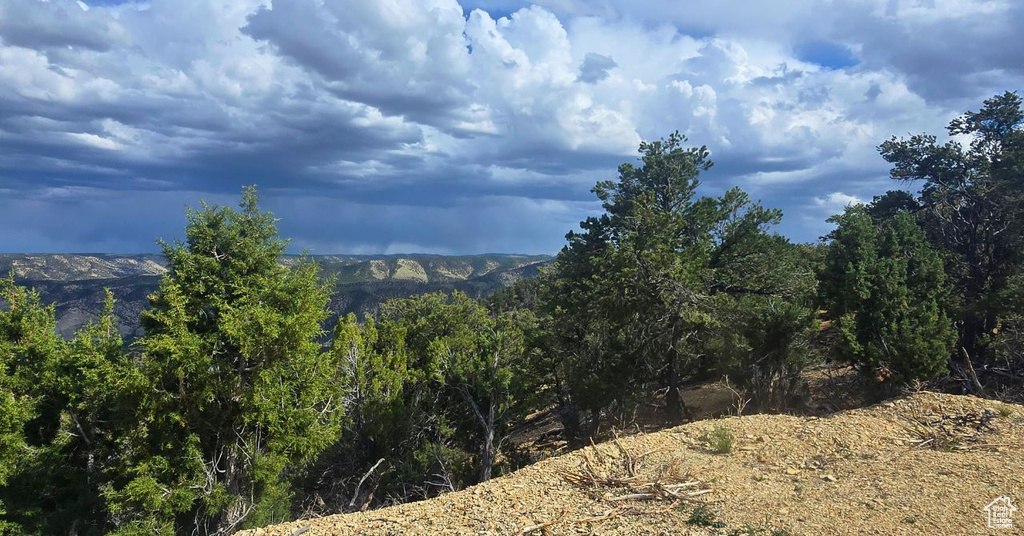 Duchesne, UT 84021